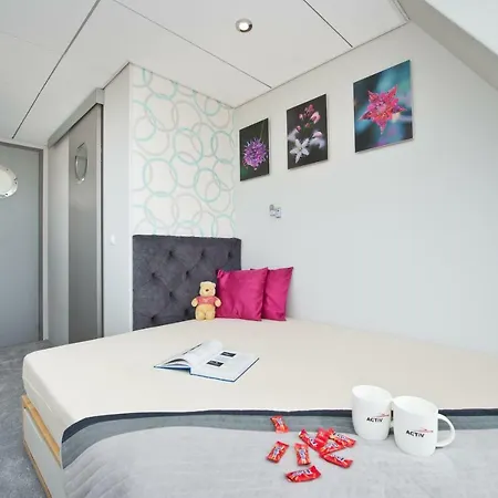 Hotel en barco Houseboat Blotnik